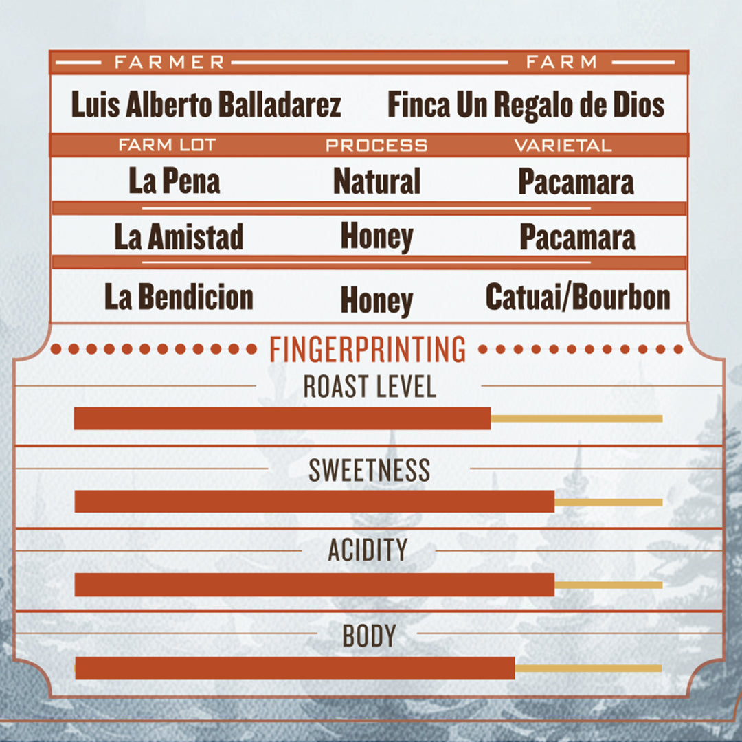 Winter Solstice Blend